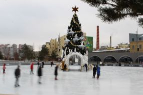 Новогодняя елка и каток