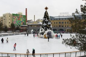 Новогодняя елка и каток