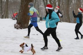 New Year's costume race in Lviv