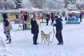 Man and woman with a dog on a walk