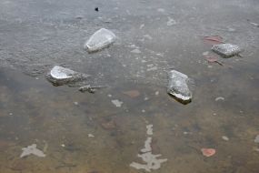 Ice cubes on  Dnipro river