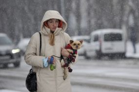 Собака в комбинезоне