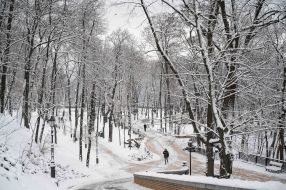 Snowy park in Kiev
