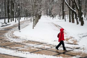 Snowy park in Kiev