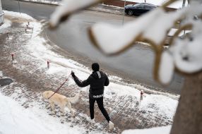 Young man walking the dog