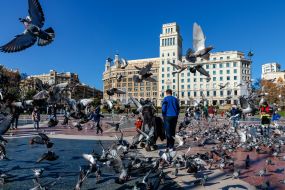 Tourists feed pigeons in Plaza de Catalunya in Barcelona