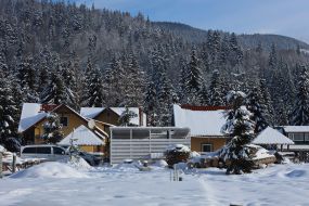 Зима в Карпатах