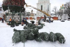 Fragments of the main Christmas tree are packed in a grid