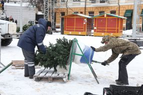 Utility workers pack fragments of the main tree into a net