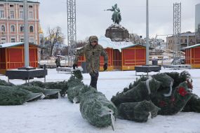 Fragments of the main Christmas tree are packed in a grid