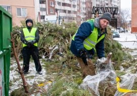 Утилизация новогодних елок в Харькове