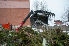 Утилизация новогодних елок в Харькове