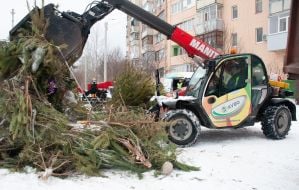 Утилизация новогодних елок в Харькове
