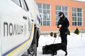 Rescuer SES with a dog