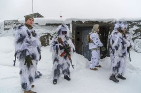 Soldiers in camouflage suits