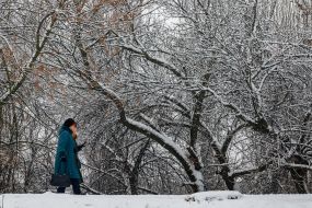 Женщины идут по заснеженному парку