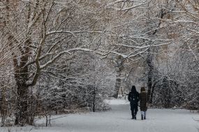 Молодая пара идет по заснеженному парку