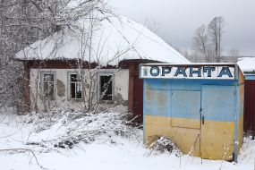 Private house in  Dobryanka village