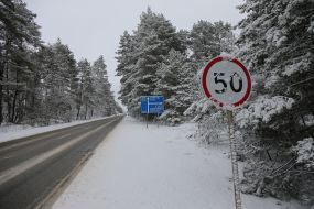 Road and snowy forest