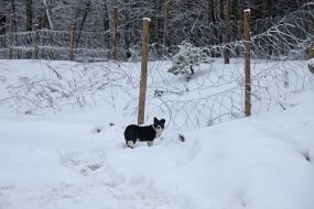 New Yarilovichi checkpoint