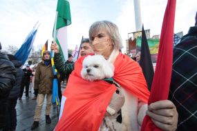Международный марш единства за Украину (International Unity March for Ukraine)