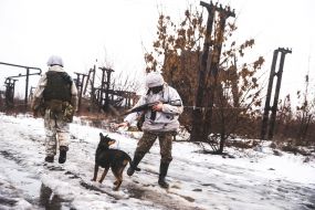 Ukrainian servicemen with a dog