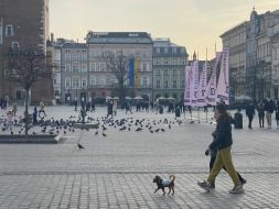 Центральная площадь в Кракове