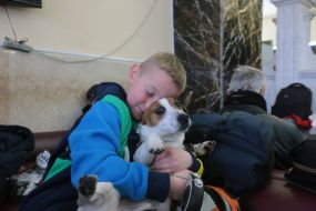 The boy is holding a dog