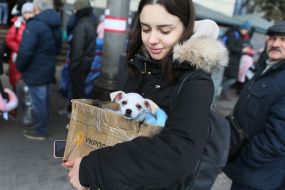 A refugee girl with a dog in a paper box on the territory of a refugee station in Lviv