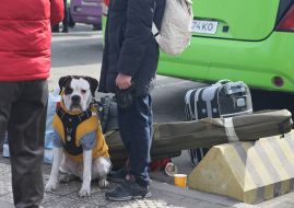 Беженцы с собакой на территории пункта для беженцев во Львове