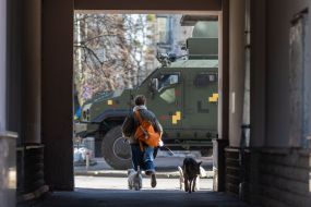 A woman walks with dogs in Kiev