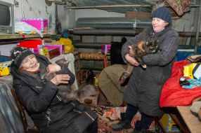 Women with cats in a bomb shelter