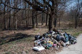 Toloka in the park in Drohobych