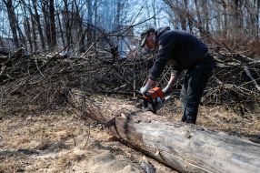 Toloka in the park in Drohobych