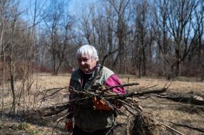 Toloka in the park in Drohobych