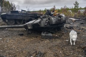 Уничтоженная российская военная техника