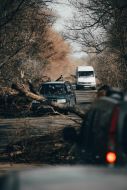 Cars on a tree-covered road on the outskirts of Chernihiv