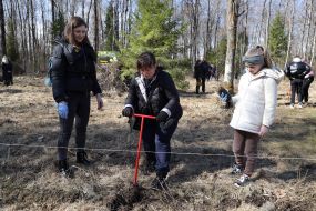 Settlers from different regions of Ukraine plant seedlings