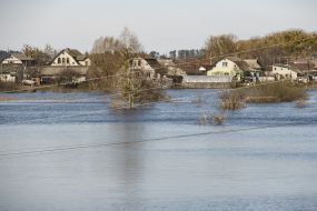 Flooded houses and yards in Demidov