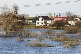 Flooded houses and yards in Demidov