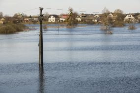 Flooded houses and yards in Demidov