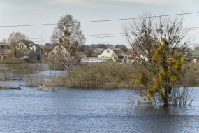 Flooded houses and yards in Demidov
