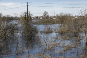 Flooded houses and yards in Demidov