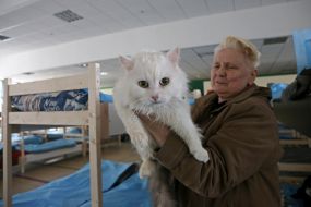 An elderly woman with a cat in her arms at the refugee center in Lviv