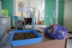 Animal feed at the refugee center in Lviv