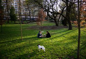 Young people are resting in a park in Lviv