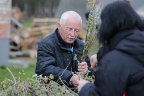 Palm Sunday celebration in Stryi