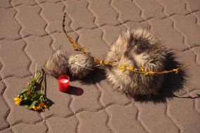 Silent action "Silent cry of the soul"