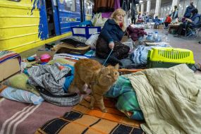Woman with a cat at one of the metro stations in Kharkiv