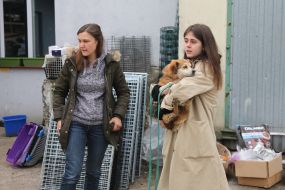 Volunteers with migrant animals